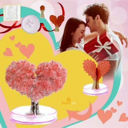 Растущие кристаллы "Дерево любви" сделай сам Magic growing love tree